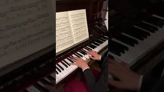 Schubert  Impromptu Op 90 No 4 [upl. by Aracaj]