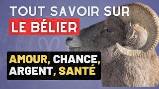 TOUT SAVOIR SUR LES SIGNES BÉLIER [upl. by Brynna]