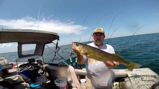 Walleye Fishing with Reel Live Action Charters [upl. by Ursal]