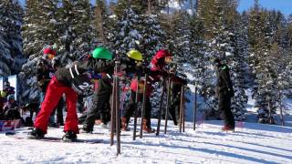 CSULB Snow SkiBoarderX [upl. by Lai]