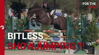 Bitless Showjumping at the HITS Ocala January Festival I 120 WITHOUT a bridle 😱 [upl. by Miner]