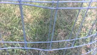 How to make 4 foot round pens [upl. by Byrne965]