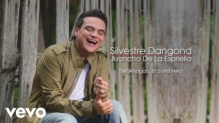 Silvestre Dangond Juancho De La Espriella  Del Ahogao El Sombrero Cover Audio [upl. by Nodnerb912]