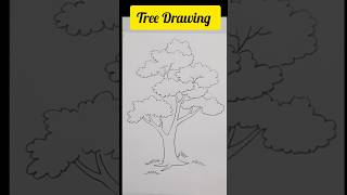 Tree Drawing  Sketch drawing shorts youtubeshorts treedrawing [upl. by Cohn621]