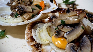 Capesante  in 8 nel microonde  Scallops EasyRecipe SVALENTINO [upl. by Edaw]