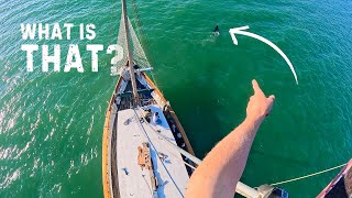 Restoring our sailboats RIGGING Backstay fix amp Mast varnish with FPV Footage — Sailing Yabá 214 [upl. by Ecilahc]