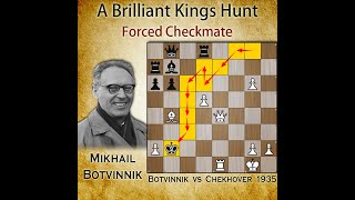 Brilliant Kings Hunt  Botvinnik vs Chekhover 1935 [upl. by Htehpaj]