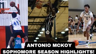 6’5 Antonio McKoy Sophomore Season Highlights [upl. by Attenal199]