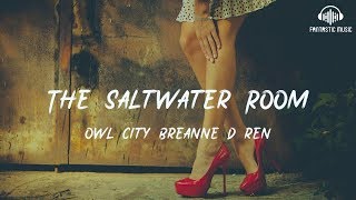 Owl City Breanne Düren  The Saltwater Room lyric [upl. by Adai]