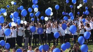 Videos de Eventos 10º Aniversario Colegio Internacional Torrequebrada [upl. by Llenyt199]