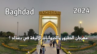 جولة في مهرجان الطيور والحيوانات الأليفة في بغداد  2024 [upl. by Pinckney576]