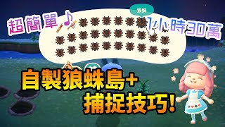 【攻略】動物森友會 狼蛛島蠍子島 製作捕捉技巧教學，詳細攻略從零到有，一趟帶回2030萬【兔王遊戲】 [upl. by Nareht]