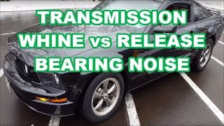 MUSTANG Transmission BEARING WHINE NOISE 5spd NOISY TRANS VS THROW OUT BEARING [upl. by Neelasor561]