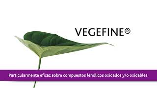 LAFFORT  PREPARACIÓN DE VEGEFINE  ESPAÑOL [upl. by Attiuqahs]