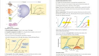 8 Pharmacology Pharmacodynamics From Antagonists to Therapeutic Windows [upl. by Raye]