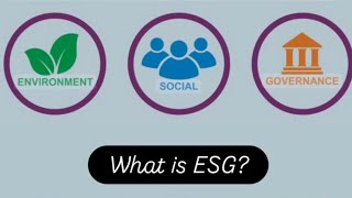 ESG Environmental Social and Governance quotTHE CONCEPTquot [upl. by Kiele]