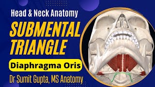 SUBMENTAL TRIANGLE  Anatomy [upl. by Roel51]