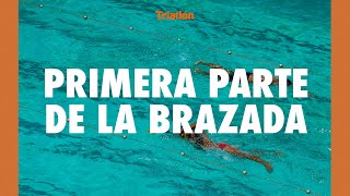 Primera parte de la brazada  Revista Triatlón [upl. by Enineg379]