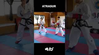 👊 Resolución sobre la patada lateral yop chagui  TaeKwonDo ITF 🥋 [upl. by Eirrol]