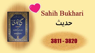 Sahih Bukhari Hadees in Urdu 38113820 Islamic Books Hadees💗💛 [upl. by Aerdma]