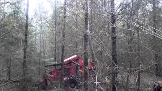 Fellerbuncher and skidder working at Hanson Family Forest [upl. by Sarina631]