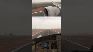 Low Visibility landing at Accra  DGAA  Emirates  PMDG 777300ER  MSFS 2020 [upl. by Boccaj]