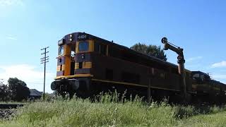 Lachlan Valley Railway LVR Australia Day Train Passing Through Molong NSW 26 January 2024 [upl. by Okechuku971]