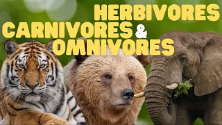 Herbivores Carnivores and Omnivores for Kids  Learn which animals eat plants meat or both [upl. by Wong]