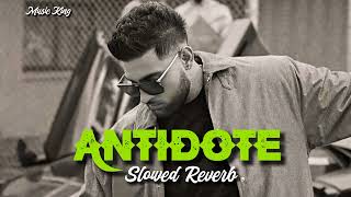 Antidote Slowed  Reverb  Karan Aujla [upl. by Dorita475]