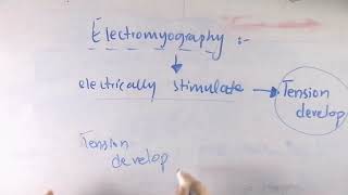 Electromyography  Biomechanics of human skeletal muscle [upl. by Arlyn]