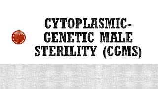 Cytoplasmic Genetic Male Sterility CGMS in Plants [upl. by Laehpar]