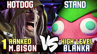 HotDog 1 Ranked MBison vs Stand 12 Ranked Blanka STREET FIGHTER 6 Showdown [upl. by Doti]