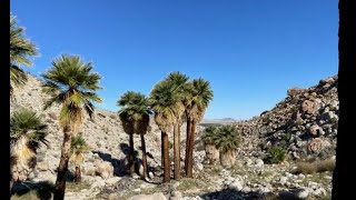 Checking out campsites in Anza Borrego desert Beginner offroad trails ep 15 [upl. by Lal]