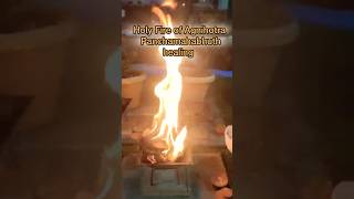 Agnihotra Holy Fire Healing healing agnihotrayagya [upl. by Ittam]