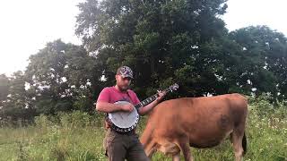 Train 45 Clawhammer Banjo [upl. by Ydnih]