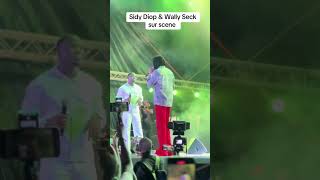 Sidy Diop amp Wally Seck sur scene 😱 [upl. by Urbain]