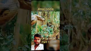 anaconda snake part 8 snake video  snake movie [upl. by Ahsoek548]