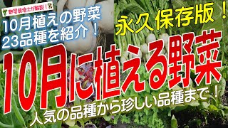 10月に植える野菜（23品種）永久保存版 [upl. by Fairlie441]