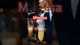 Mimosa recipe cocktail mimosa classiccocktails didothankyou thankgodido lyrics song songs [upl. by Nellda]