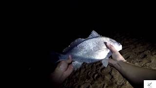 Colorado river night fishing Fisherman Park Bastrop Texas [upl. by Reyna]