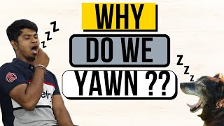 Why Do We Yawn Why is Yawning Contagious [upl. by Yffat]