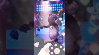 catvideo youtubeshorts 🙀😻🥳🎉 [upl. by Farrell]