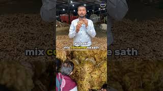 Ginger Export procedure by Sagar Agravat hiiem [upl. by Brod534]