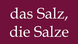 How to Pronounce das Salz die Salze the Salt Salts Correctly in German [upl. by Dniren441]