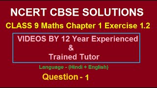 ncert solutions for class 10 maths chapter 1 Real numbers Exercise 12 Question 1 [upl. by Dagall965]