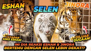 SELEN MENGENAL LEBIH DEKAT DENGAN ESHAN amp JINORA  HANYA DIBATASI 1 LAPIS BESI  SELEN KETAKUTAN [upl. by Schell711]