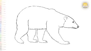 Polar bear easy drawing 01  Animal drawing tutorial  How to draw A Polar bear simply  artjanag [upl. by Kipp]