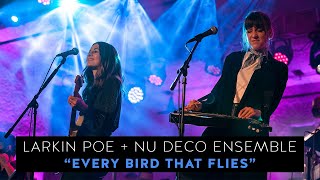 Larkin Poe amp NuDecoEnsemble  quotEvery Bird That Fliesquot Live In Concert [upl. by Sup]