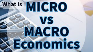 Whats the Difference between MICRO and MACRO  Think Econ macro micro economics [upl. by Tsenrae]