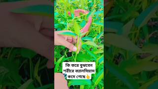 কি করে বুঝবেন শরীরে ক্যালসিয়াম কমে গেছে health calcium shortfeed naturelovers [upl. by Kolnos]